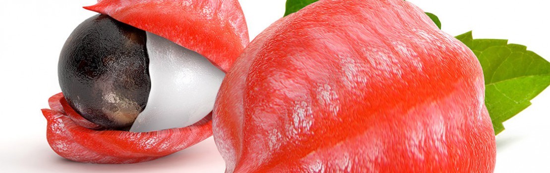 Guarana: Potenzkräuter, die nicht zu übersehen sind